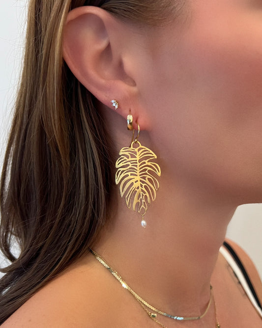 Monstera Leaf Earrings